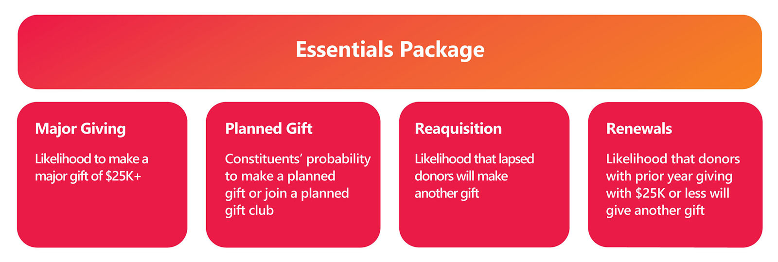 Donor AI Essentials Package